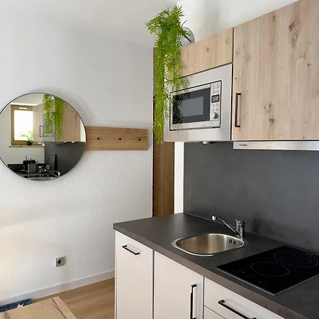 Living & Serviced By Blauer Wolf Apartment Gunzenhausen