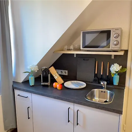 Living & Serviced By Blauer Wolf Apartamento Gunzenhausen