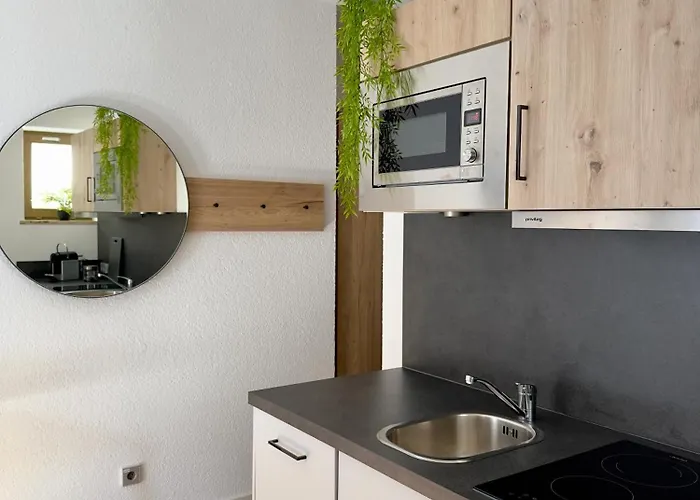 Living & Serviced By Blauer Wolf Apartmán Gunzenhausen